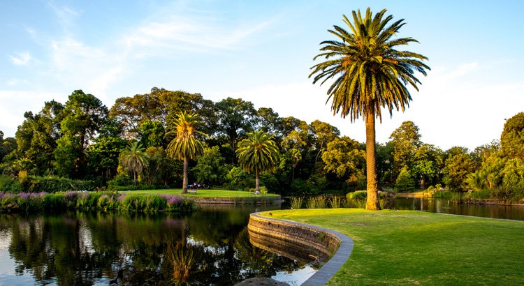 Αξίζει να επισκεφθείς το βοτανικό πάρκο της Μελβούρνης την Άνοιξη!