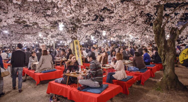 Φεστιβάλ Cherry Blossom στην Ιαπωνία