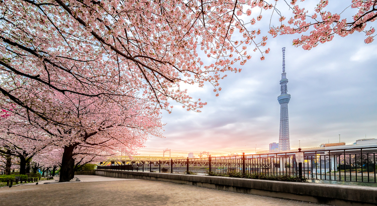Ταξίδεψε οικονομικά στο Τόκιο και δες τα όμορφα πάρκα