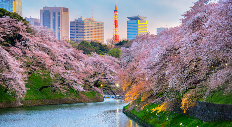 Οικονομικό ταξίδι στο Τόκιο την εποχή Hanami