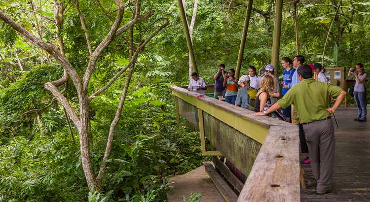 Panama Rainforest Discovery Center, ένα από τα μέρη που πρέπει να δεις στο Panama City