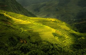 Βιετνάμ -τα πιο όμορφα σημεία της-Φωτογραφία Σάπα