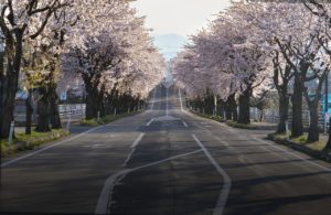 Ιαπωνία – ο καλύτερος ταξιδιωτικός οδηγός - Φωτογραφία Ιαπωνία-Άνοιξη