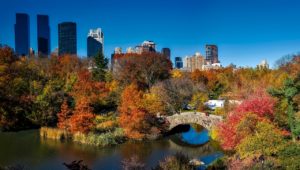5 αξέχαστες εμπειρίες στη Νέα Υόρκη-Φωτογραφία Central Park