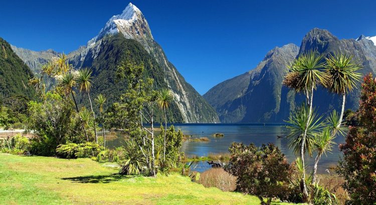 Νέα Ζηλανδία – ο καλύτερος ταξιδιωτικός οδηγός - Φωτογραφία Νέα Ζηλανδία