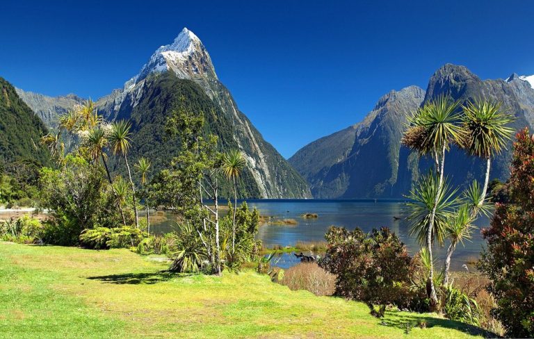 Νέα Ζηλανδία – ο καλύτερος ταξιδιωτικός οδηγός - Φωτογραφία Νέα Ζηλανδία