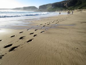5 καλύτερες παραλίες στη Νότια Αφρική_Φωτογραφία Robberg Beach