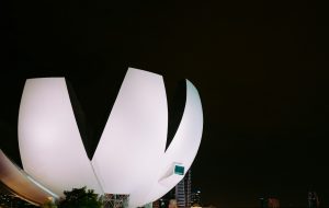 Kαλύτερα μουσεία της Σιγκαπούρης_Φωτογραφία ArtScience Museum
