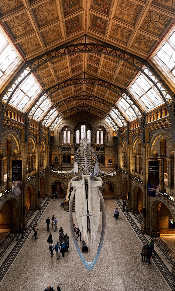 Kαλύτερα μουσεία στο Λονδίνο_Φωτογραφία Μουσείο Φυσικής Ιστορίας