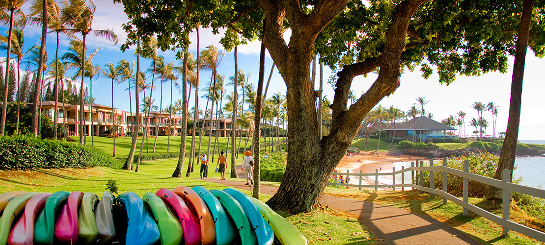 maui